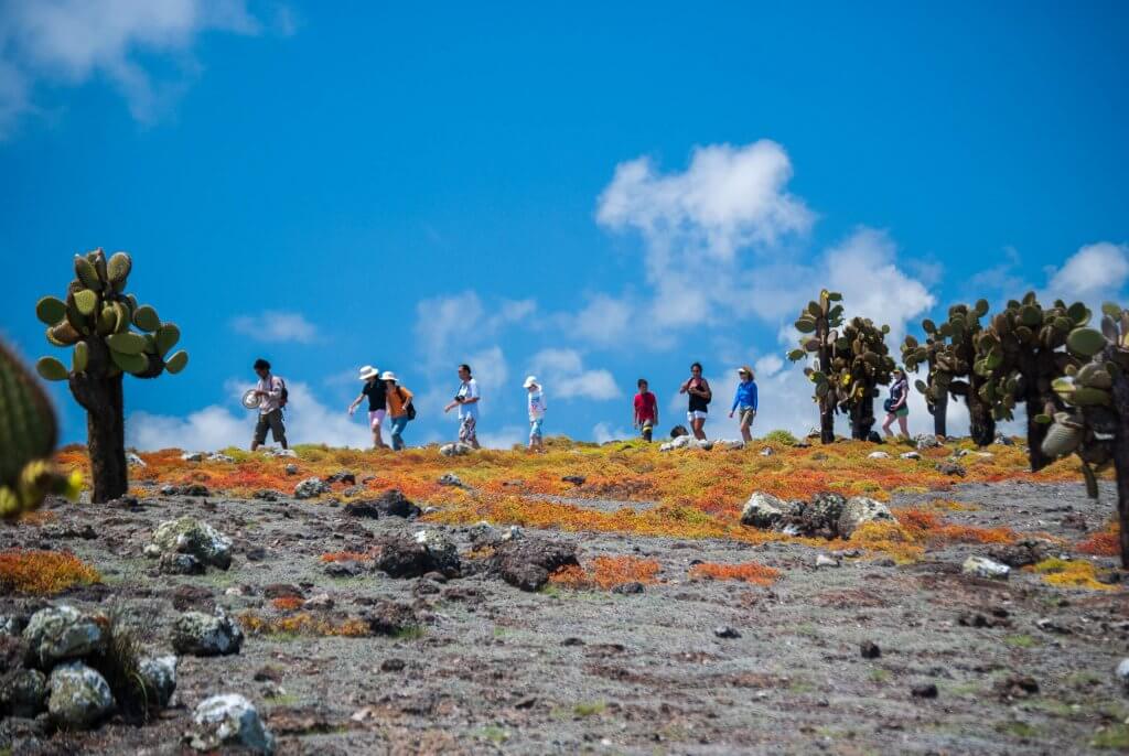 Group hiking on Plazas Island