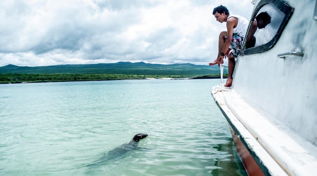 Conversing with a sea lion pup. Playa Ochoa.